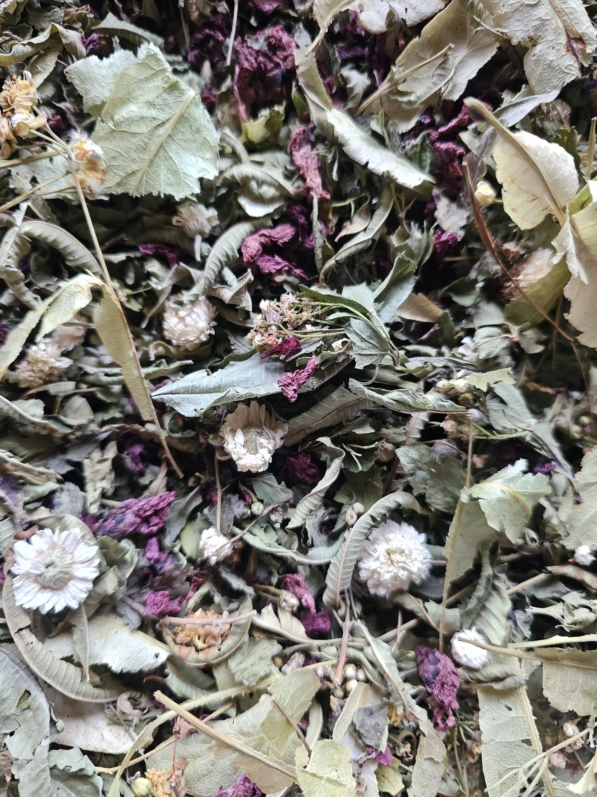 Tisane qui Calme