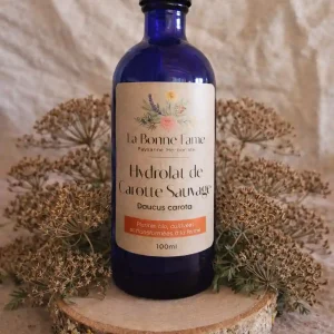 Hydrolat de Carotte Sauvage