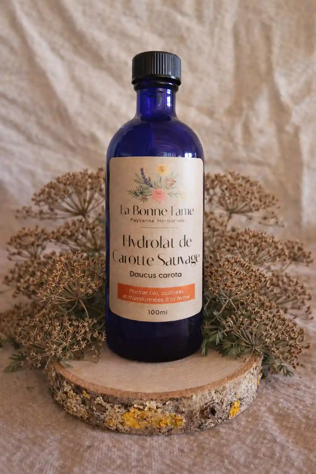 Hydrolat de Carotte Sauvage