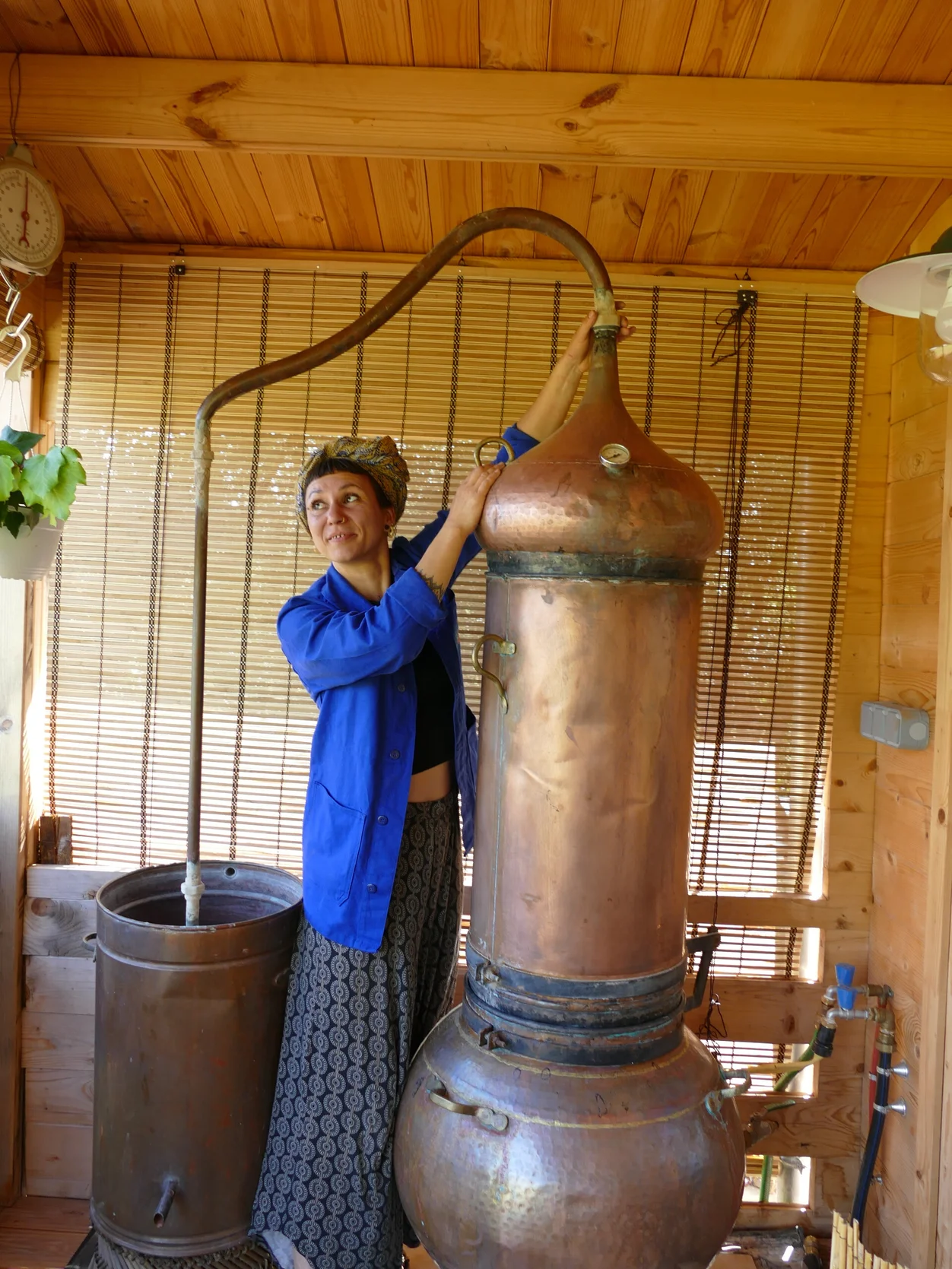 L'herboriste et l'alambic