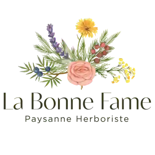 Logo La Bonne Fame Mini